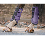 Gutres fonctionnelles  Swiss Design (Postrieurs)