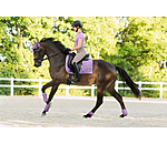 Gu�tres  Sophistication