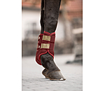 Gutres en mesh  Glitter, antrieurs