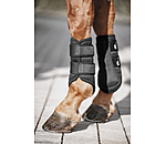 Gutres en mesh  Glitter, antrieurs