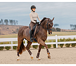 Gutres en mesh  Glitter, postrieurs