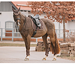 Gutres en mesh  Glitter, postrieurs