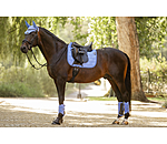 Gu�tres techniques  Mesh-Technology (ant�rieurs)