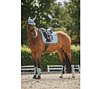 Gu�tres techniques  Mesh-Technology (ant�rieurs)