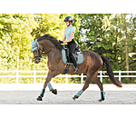 Gu�tres techniques  Mesh-Technology (ant�rieurs)