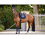 Gu�tres techniques  Mesh-Technology (ant�rieurs)