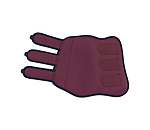 Gu�tres de dressage  Twotone (ant�rieurs)