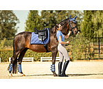 Gu�tres de dressage  Twotone (post�rieurs)