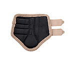 Gu�tres  Teddy, ant�rieurs