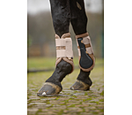 Gu�tres  Teddy, ant�rieurs