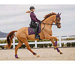 Bonnet anti-mouches  Signature II