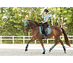 Bonnet anti-mouches  Mesh-Technology