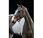 Licol anatomique  Sophistication