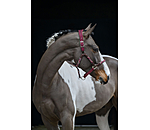 Licol anatomique  Sophistication