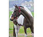 Licol anatomique  Sophistication