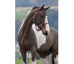 Licol anatomique  Sophistication