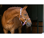 Licol anatomique  Sophistication