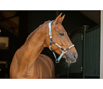 Licol anatomique  Sophistication