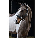 Licol  Swiss Design II