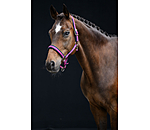 Licol  Swiss Design II