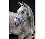 Licol  Swiss Design II