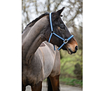 Licol  Essential II