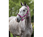 Licol  Mesh-Technology