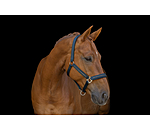 Licol  Twotone & Crystal