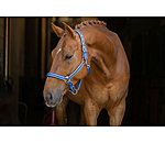 Licol  Twotone & Crystal