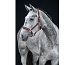 Licol  Signature III