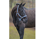 Licol en nylon  prix cass