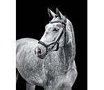 Muserolle en cuir  Mix & Match Revolution