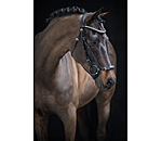 Bridon avec muserolle allemande  Perfect Fit