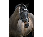 Bridon avec noseband amovible  Berlin