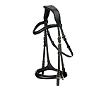 Bridon sans mors 5 en 1