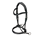 Bridon sans mors 5 en 1