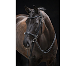 Bridon sans mors 5 en 1