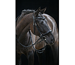 Bridon sans mors 5 en 1