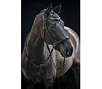 Bridon sans mors 5 en 1