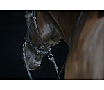 Bridon sans mors 5 en 1