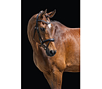 Bridon avec noseband amovible  Alaska