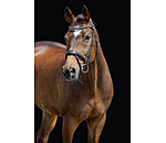 Bridon avec noseband amovible  Alaska