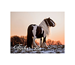 Calendrier Irish Cob 2026