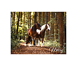 Calendrier Irish Cob 2026