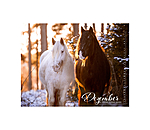 Calendrier Irish Cob 2026