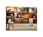 Calendrier Irish Cob 2026