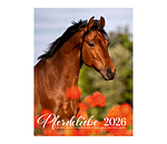 Calendrier 2026 L�amour du cheval