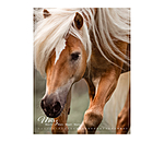 Calendrier 2026 L�amour du cheval