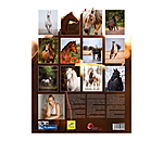 Calendrier 2026 L�amour du cheval