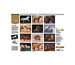 Reproducteurs l�gendaires 2026